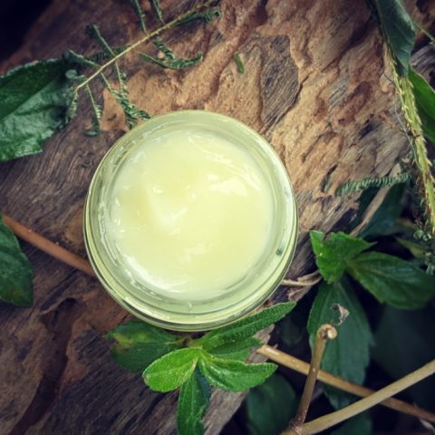 Aloe Vera Facial Moisturizer