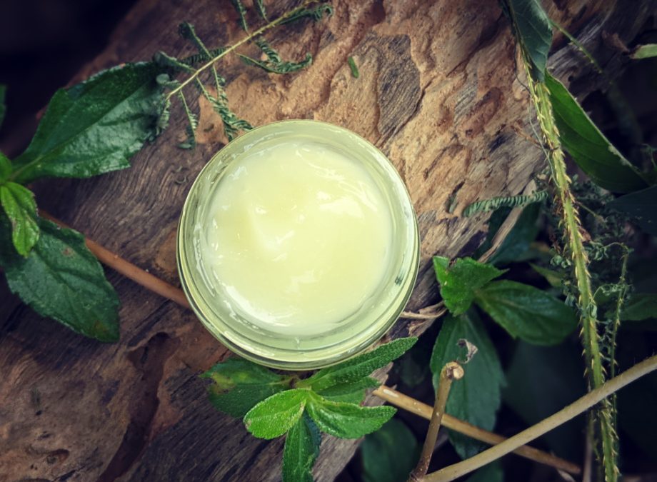 3 Homemade Aloe Vera Gel Recipes that Moisturize and Soothe