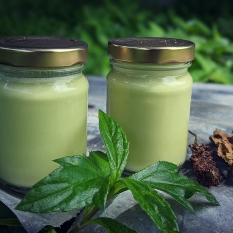 Aloe Vera And Cucumber Body Lotion That Repels Mosquitos  