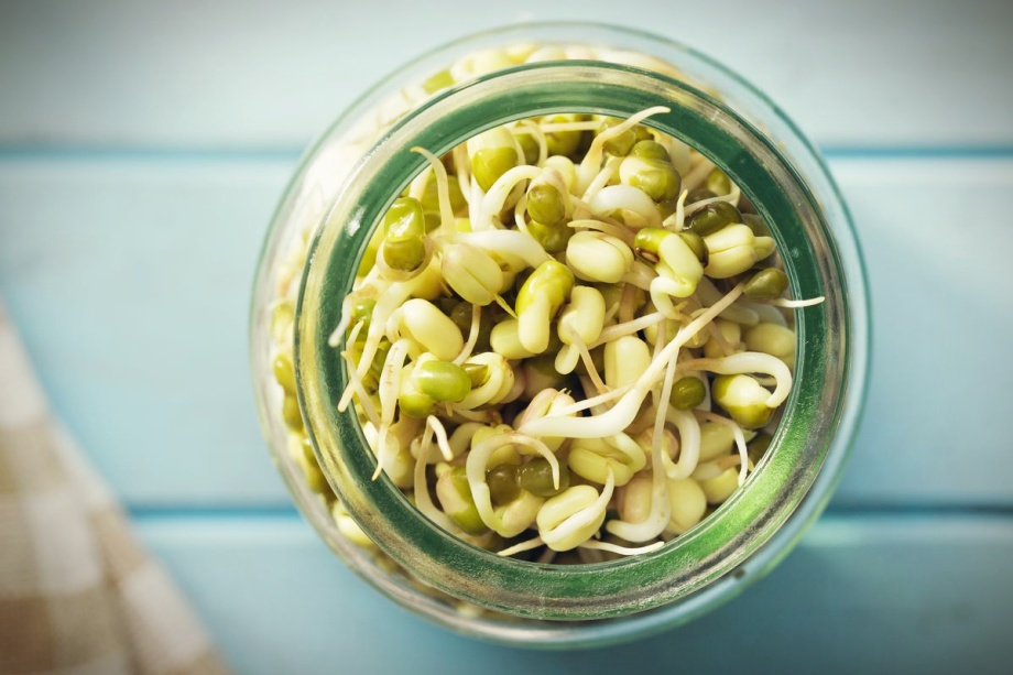 5 Big Reasons You Should Enjoy the Nutritional Benefits of Sprouts (and How to Sprout Them)