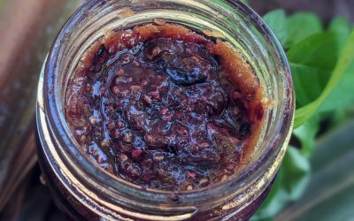 BLUEBERRY VANILLA CHIA SEED JAM