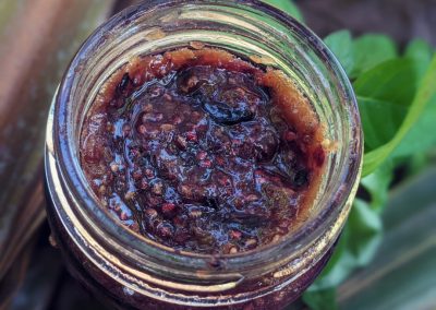 BLUEBERRY VANILLA CHIA SEED JAM