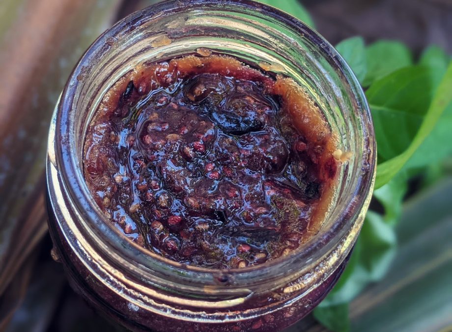 BLUEBERRY VANILLA CHIA SEED JAM