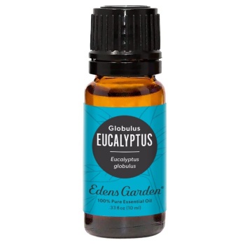 Eucalyptus Essential Oil