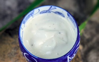Vegan Mayonnaise With Aquafaba