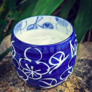 Vegan Mayonnaise with Aquafaba