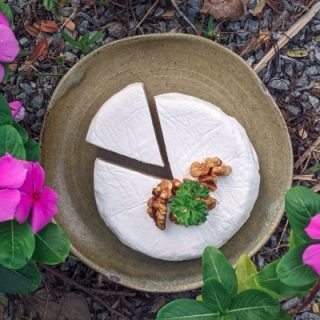 Vegan Brie Cheese