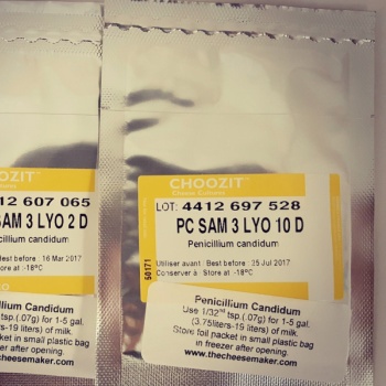 Penicillium Candidum Cheese Culture
