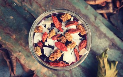 Blueberry Acai Chia Seed Pudding