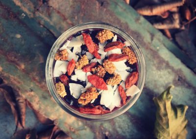 Blueberry Acai Chia Seed Pudding