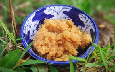 Fermented Garlic Paste