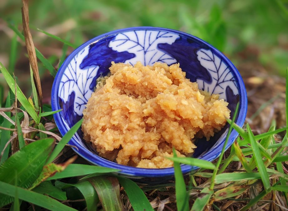 Fermented Garlic Paste