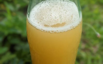 Homemade Apple Cider Vinegar