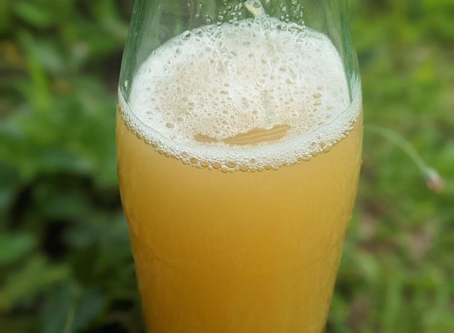 Homemade Apple Cider Vinegar