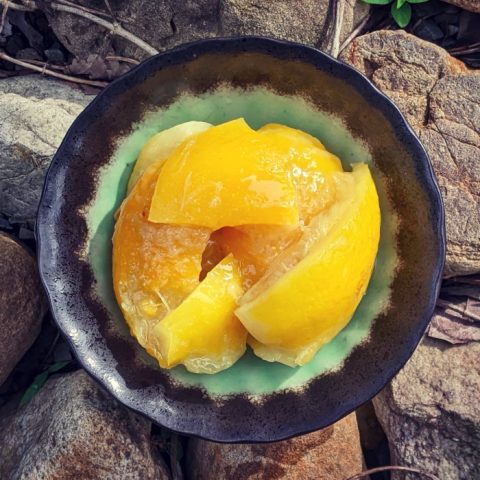 Probiotic Preserved Lemons (aka Fermented Lemons)